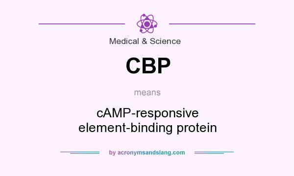 What does CBP mean? It stands for cAMP-responsive element-binding protein