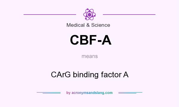 What does CBF-A mean? It stands for CArG binding factor A