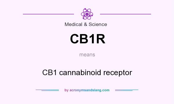 What does CB1R mean? It stands for CB1 cannabinoid receptor