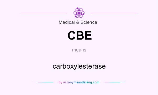 What does CBE mean? It stands for carboxylesterase