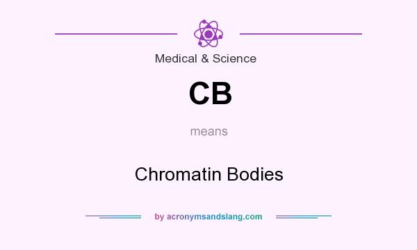 What does CB mean? It stands for Chromatin Bodies