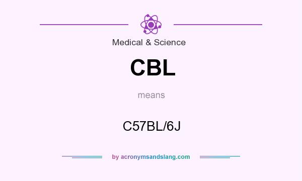 What does CBL mean? It stands for C57BL/6J