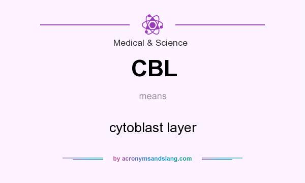 What does CBL mean? It stands for cytoblast layer