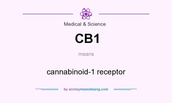 What does CB1 mean? It stands for cannabinoid-1 receptor