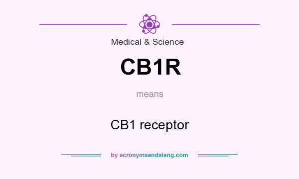 What does CB1R mean? It stands for CB1 receptor