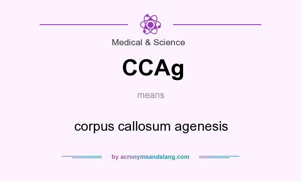 What does CCAg mean? It stands for corpus callosum agenesis