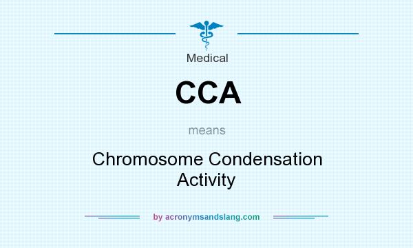 What does CCA mean? It stands for Chromosome Condensation Activity