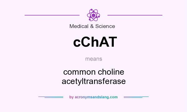 What does cChAT mean? It stands for common choline acetyltransferase