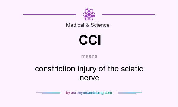 What does CCI mean? It stands for constriction injury of the sciatic nerve