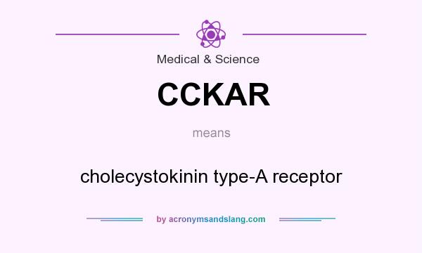 What does CCKAR mean? It stands for cholecystokinin type-A receptor