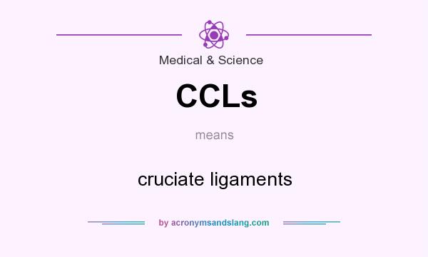 What does CCLs mean? It stands for cruciate ligaments