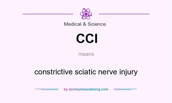What does CCI mean? It stands for constrictive sciatic nerve injury