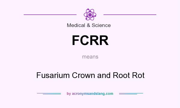 What does FCRR mean? It stands for Fusarium Crown and Root Rot