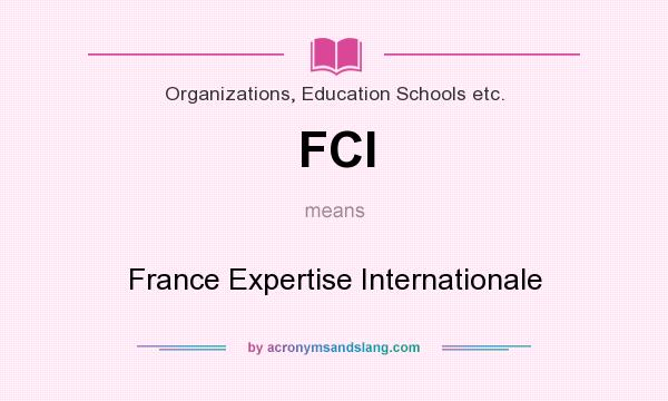 What does FCI mean? It stands for France Expertise Internationale
