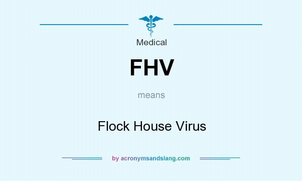 What does FHV mean? It stands for Flock House Virus