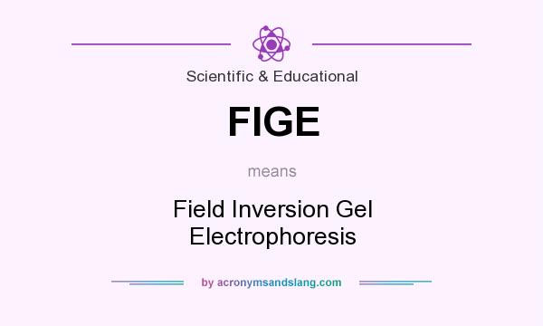 What does FIGE mean? It stands for Field Inversion Gel Electrophoresis