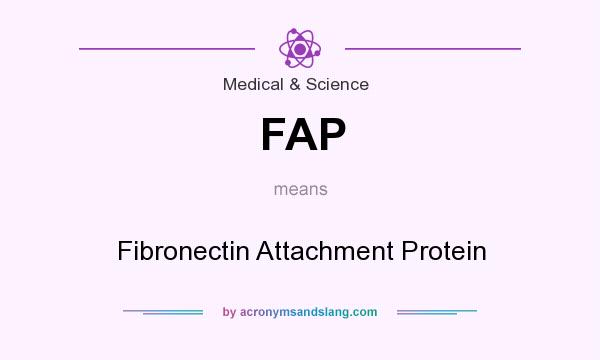 What does FAP mean? It stands for Fibronectin Attachment Protein