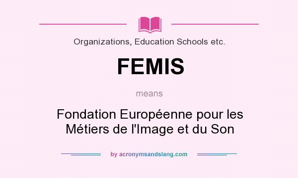 What does FEMIS mean? It stands for Fondation Européenne pour les Métiers de l`Image et du Son