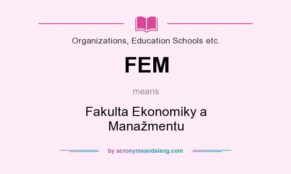 What does FEM mean? It stands for Fakulta Ekonomiky a Manažmentu