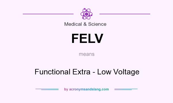 What does FELV mean? It stands for Functional Extra - Low Voltage