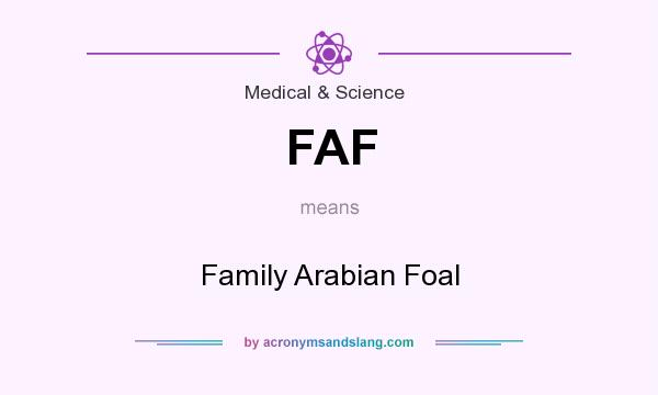 What does FAF mean? It stands for Family Arabian Foal