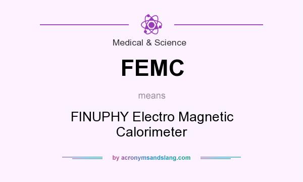 What does FEMC mean? It stands for FINUPHY Electro Magnetic Calorimeter