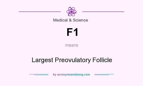 What does F1 mean? It stands for Largest Preovulatory Follicle