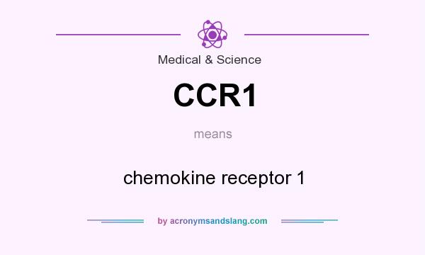 What does CCR1 mean? It stands for chemokine receptor 1