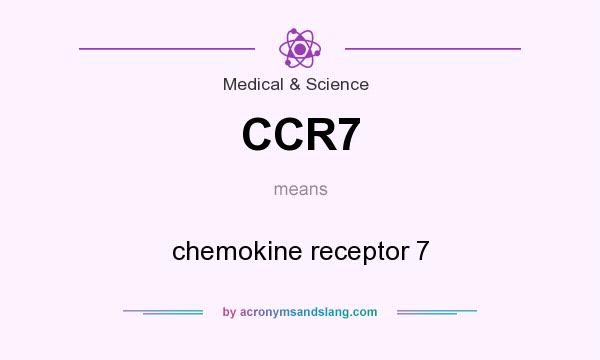 What does CCR7 mean? It stands for chemokine receptor 7