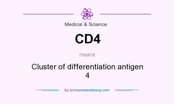 What does CD4 mean? It stands for Cluster of differentiation antigen 4