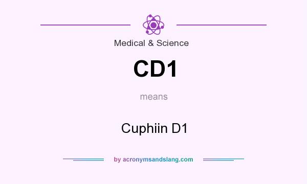 What does CD1 mean? It stands for Cuphiin D1
