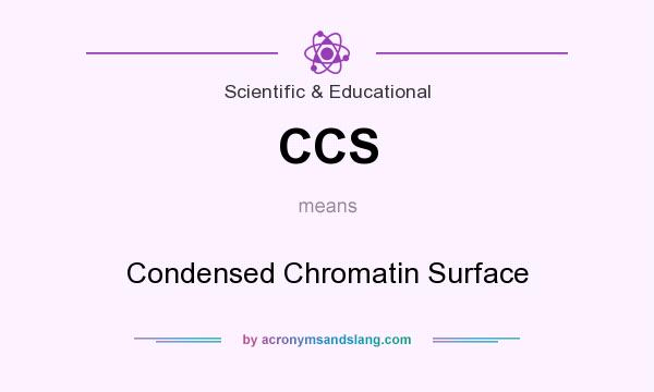 What does CCS mean? It stands for Condensed Chromatin Surface