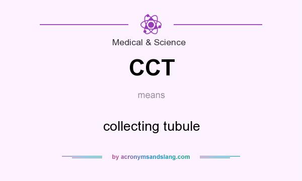 What does CCT mean? It stands for collecting tubule