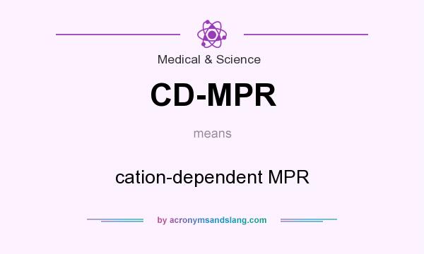 What does CD-MPR mean? It stands for cation-dependent MPR
