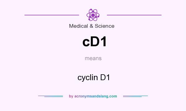 What does cD1 mean? It stands for cyclin D1