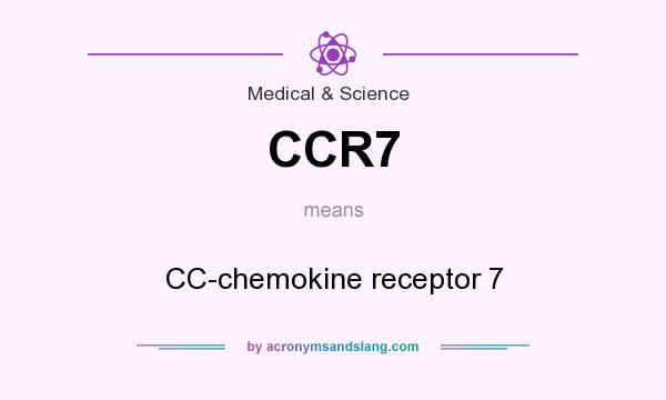 What does CCR7 mean? It stands for CC-chemokine receptor 7