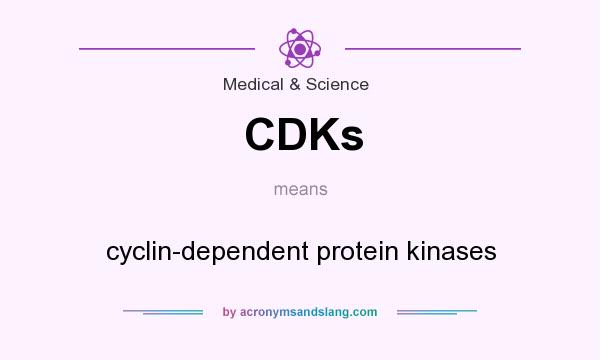 What does CDKs mean? It stands for cyclin-dependent protein kinases