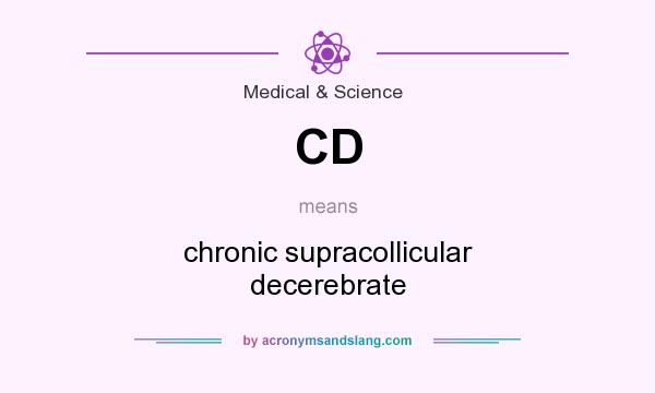 What does CD mean? It stands for chronic supracollicular decerebrate