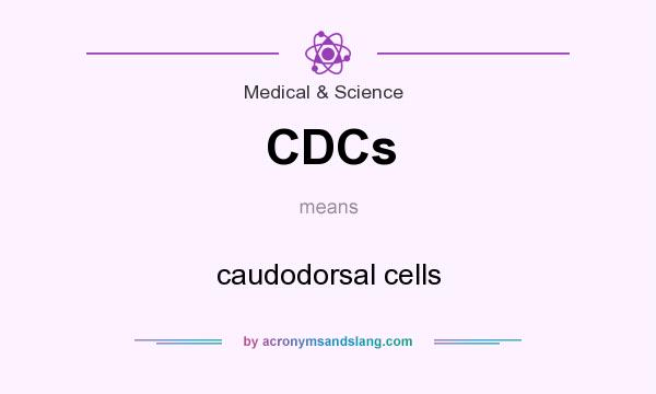 What does CDCs mean? It stands for caudodorsal cells