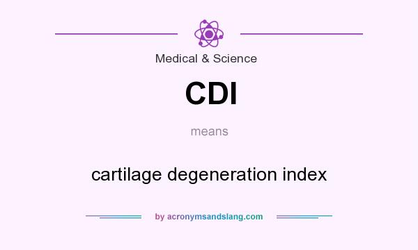 What does CDI mean? It stands for cartilage degeneration index