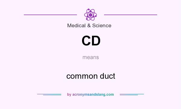 What does CD mean? It stands for common duct