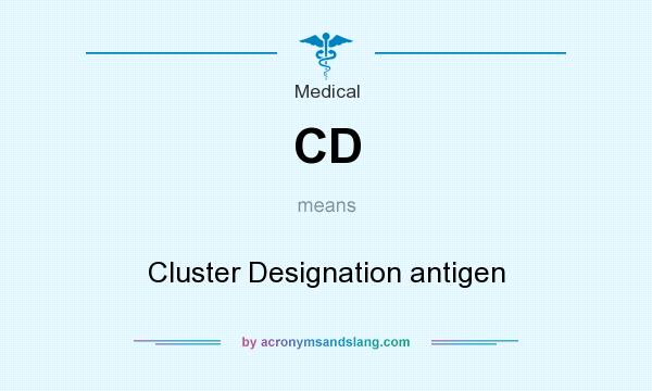 What does CD mean? It stands for Cluster Designation antigen