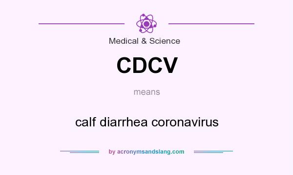 What does CDCV mean? It stands for calf diarrhea coronavirus