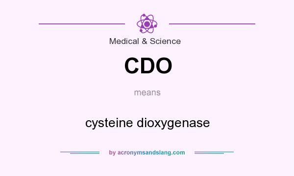 What does CDO mean? It stands for cysteine dioxygenase