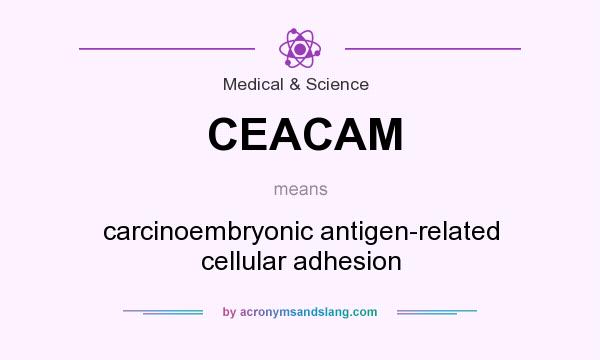 What does CEACAM mean? It stands for carcinoembryonic antigen-related cellular adhesion