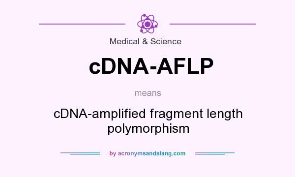 What does cDNA-AFLP mean? It stands for cDNA-amplified fragment length polymorphism