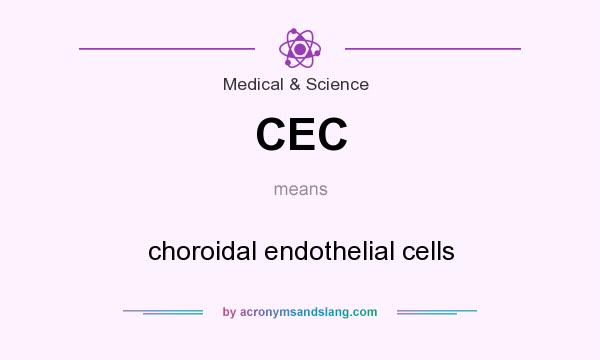 What does CEC mean? It stands for choroidal endothelial cells