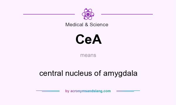 What does CeA mean? It stands for central nucleus of amygdala