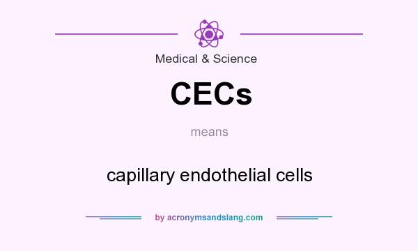 What does CECs mean? It stands for capillary endothelial cells