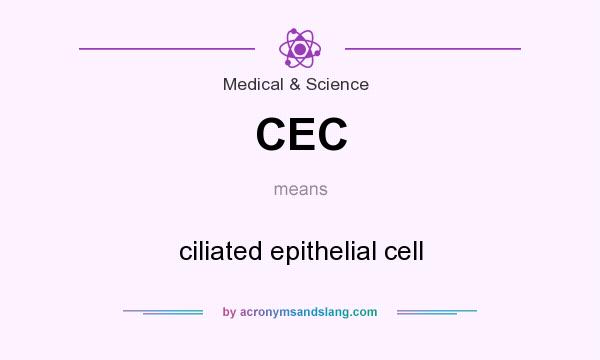 What does CEC mean? It stands for ciliated epithelial cell